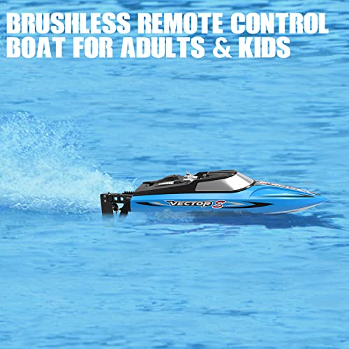 Fast Remote Control Brushless Boat for Adults