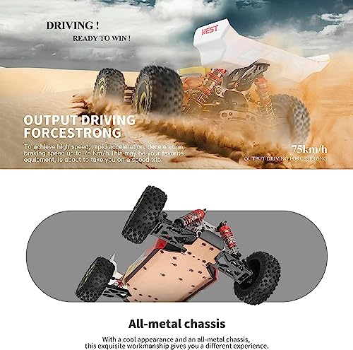 High Speed 4WD RC Car with Brushless Motor