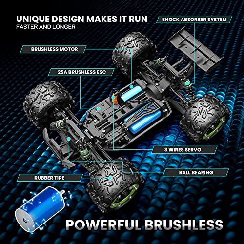 DEERC Brushless 302E High Speed RC Car