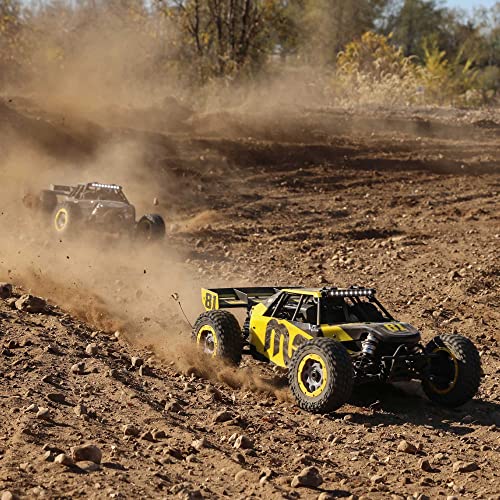 Losi RC 1/5 Gas Buggy RTR