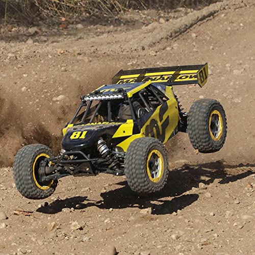 Losi RC 1/5 Gas Buggy RTR