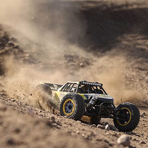 Losi RC 1/5 Gas Buggy RTR