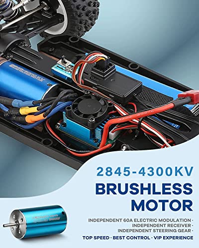 Wltoys 124017 RC Car with Brushless Motor
