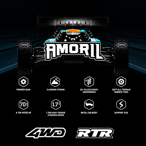 AMORIL Fast RC Cars, Top Speed 70+KMH