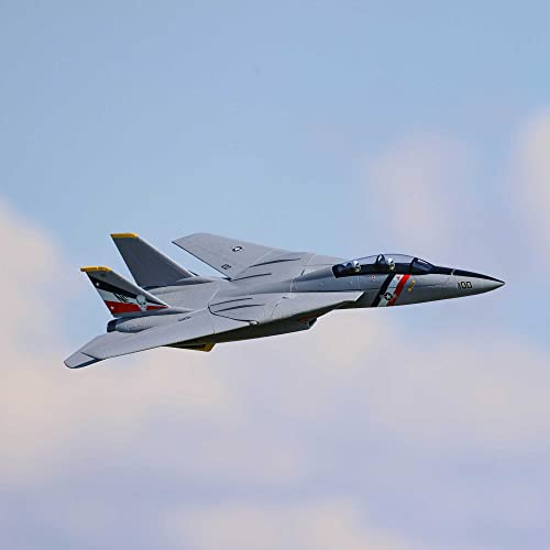 E-flite F-14 Tomcat Twin EDF RC Plane