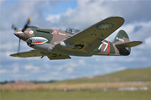 FMS P-40B Flying Tiger Warbird RC Plane