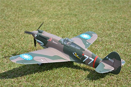 FMS P-40B Flying Tiger Warbird RC Plane