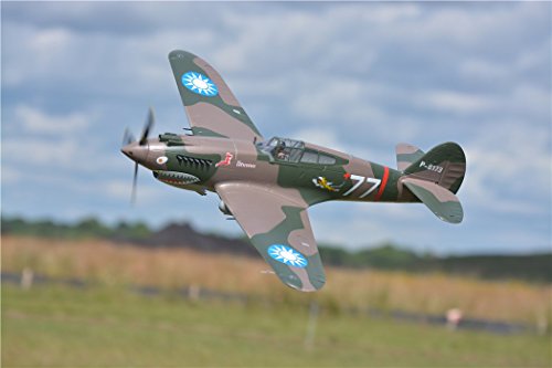 FMS P-40B Flying Tiger Warbird RC Plane