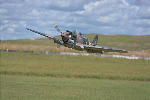 FMS P-40B Flying Tiger Warbird RC Plane