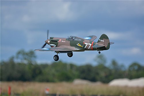 FMS P-40B Flying Tiger Warbird RC Plane