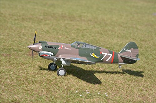 FMS P-40B Flying Tiger Warbird RC Plane