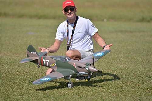 FMS P-40B Flying Tiger Warbird RC Plane