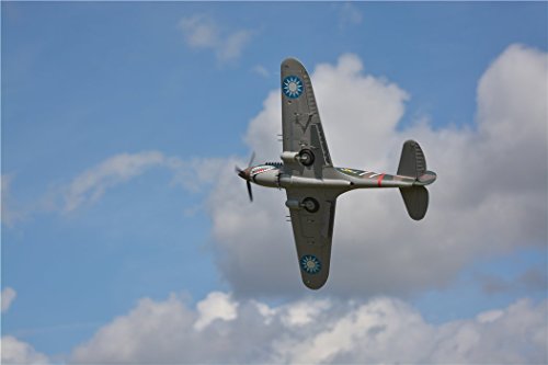 FMS P-40B Flying Tiger Warbird RC Plane