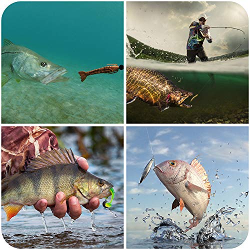 Fishing Lures Kit: Bass, Trout, Salmon Tackle