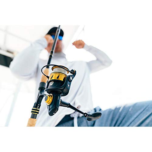 PENN Spinfisher VI Spinning Inshore Fishing Reel, 4500
