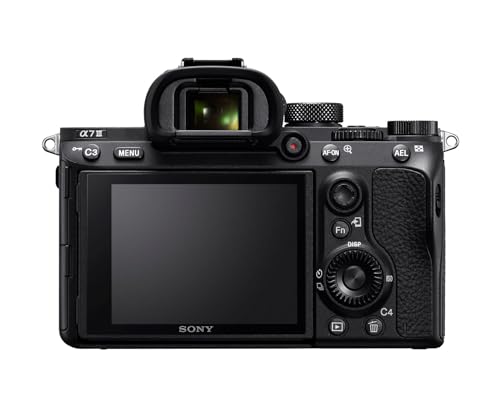 Sony Alpha 7 III Camera with 28-70mm Zoom Lens