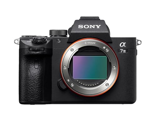 Sony Alpha 7 III Camera with 28-70mm Zoom Lens