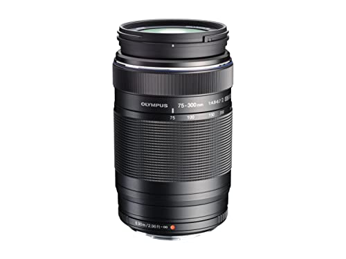 Compact OM System Olympus Zoom Lens for Micro Four Thirds