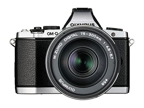 Compact OM System Olympus Zoom Lens for Micro Four Thirds
