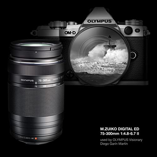 Compact OM System Olympus Zoom Lens for Micro Four Thirds
