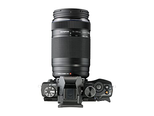 Compact OM System Olympus Zoom Lens for Micro Four Thirds
