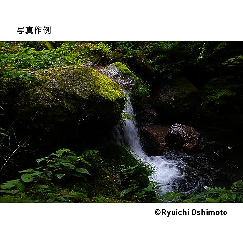 Sigma 28-70mm F2.8 DG DN Sony E Lens