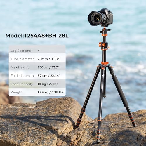 Professional Aluminum Camera Tripod with Monopod and Ball Head