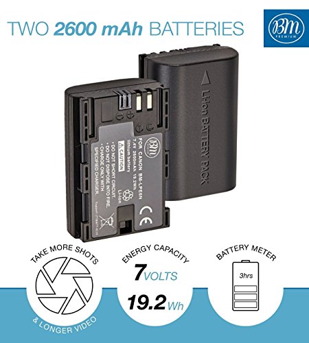 Canon LP-E6N Battery 2-Pack with Dual Charger