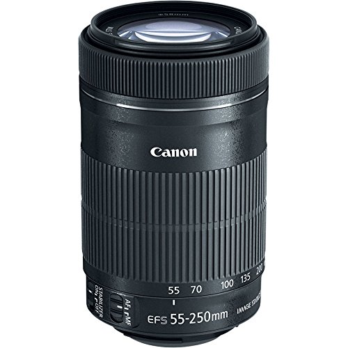 Canon EF-S 55-250mm F4-5.6 STM Zoom Lens