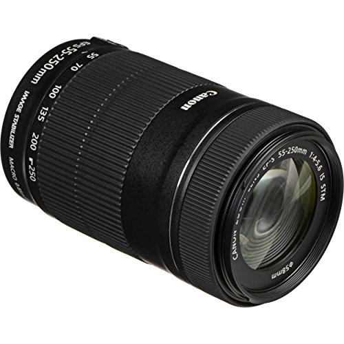 Canon EF-S 55-250mm F4-5.6 STM Zoom Lens