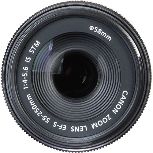 Canon EF-S 55-250mm F4-5.6 STM Zoom Lens