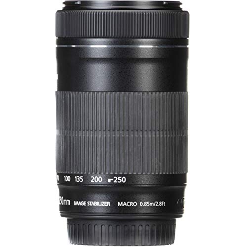 Canon EF-S 55-250mm F4-5.6 STM Zoom Lens