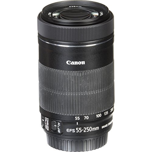 Canon EF-S 55-250mm F4-5.6 STM Zoom Lens