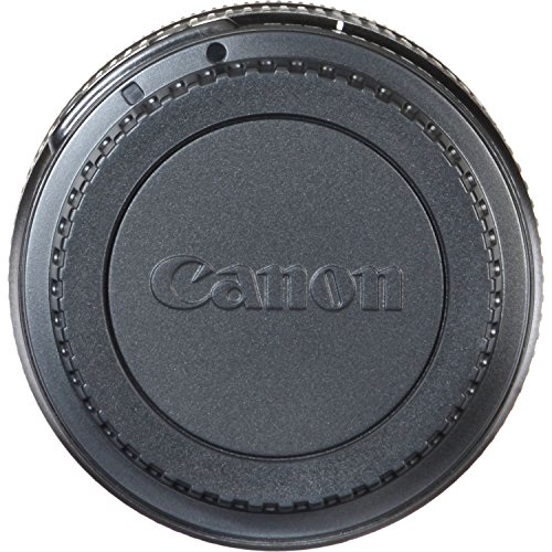 Canon EF-S 55-250mm F4-5.6 STM Zoom Lens