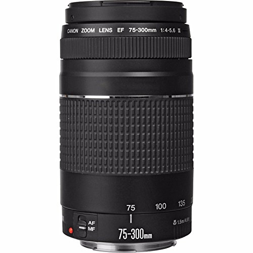 Canon EF 75-300mm Telephoto Zoom Lens in Black