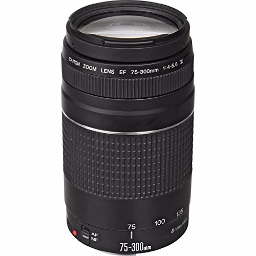 Canon EF 75-300mm Telephoto Zoom Lens in Black