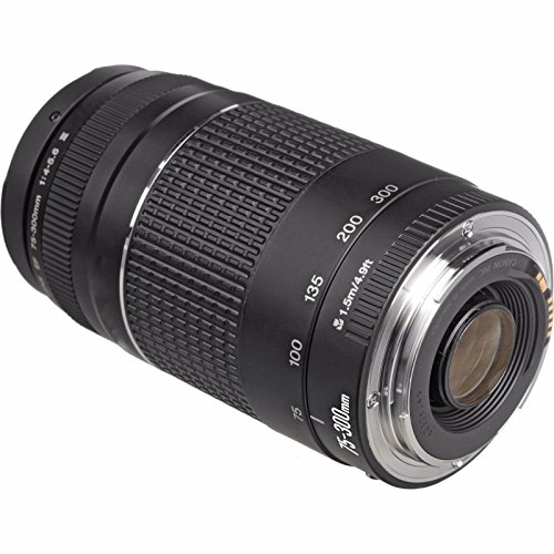 Canon EF 75-300mm Telephoto Zoom Lens in Black