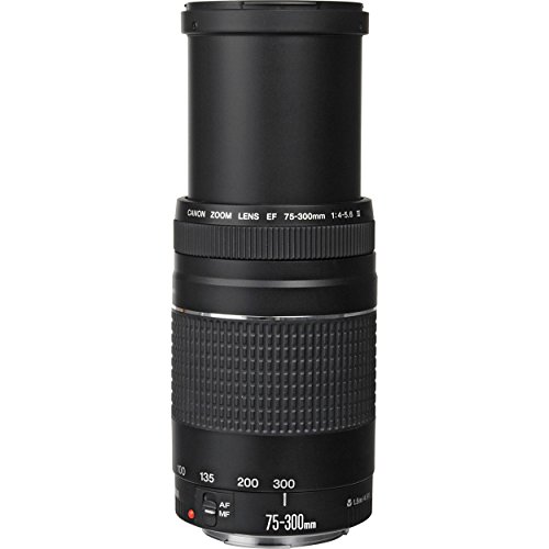 Canon EF 75-300mm Telephoto Zoom Lens for Canon Cameras