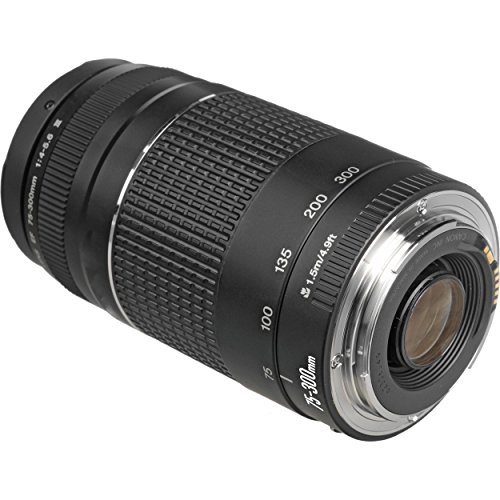 Canon EF 75-300mm Telephoto Zoom Lens for Canon Cameras