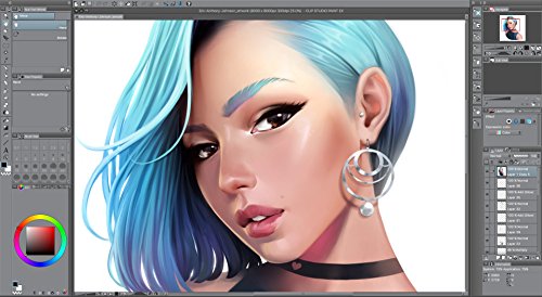 CLIP STUDIO PAINT PRO - Version 1 - Perpetual License