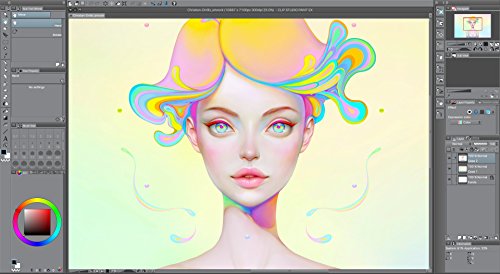 CLIP STUDIO PAINT PRO - Version 1 - Perpetual License