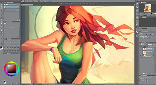 CLIP STUDIO PAINT PRO - Version 1 - Perpetual License