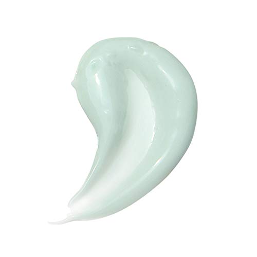 Mario Badescu Cleansing Milk with Carnation and Vitamin E