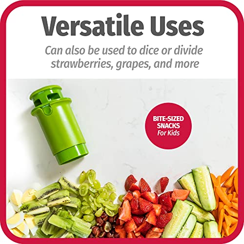 Everyday Fruit and Veggie Divider with Stainless Steel Blades