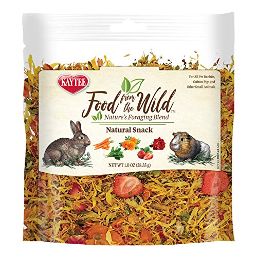 Kaytee Wild Natural Snack for Small Animals, 1oz