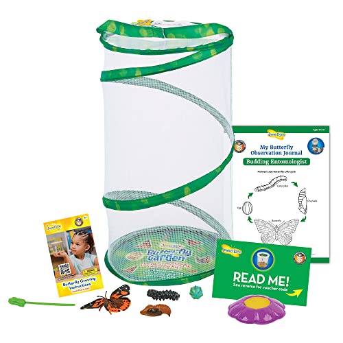 Giant Butterfly Garden Kit with Habitat & Voucher