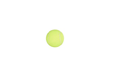Penn Championship Tennis Balls - Regular Duty, 1 Can