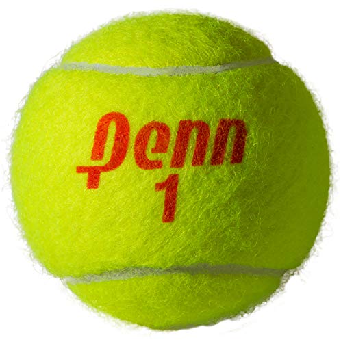Penn Championship Tennis Balls - Regular Duty, 1 Can