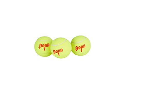 Penn Championship Tennis Balls - Regular Duty, 1 Can