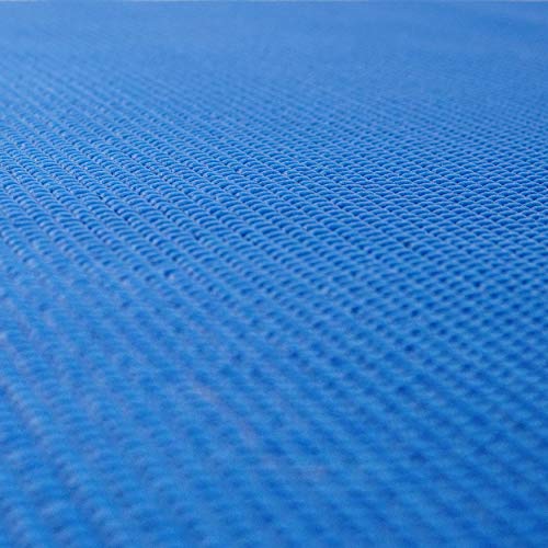 Blue Yoga Mat by Sunny Health and Fitness